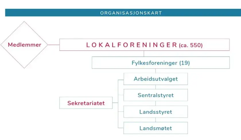 Styrende organer i Sanitetskvinnene