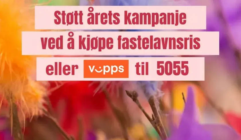 Banner fastelavnskampanje 2025