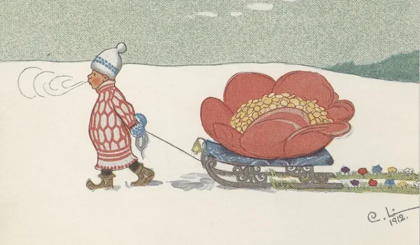 Bilblomst nostalgi