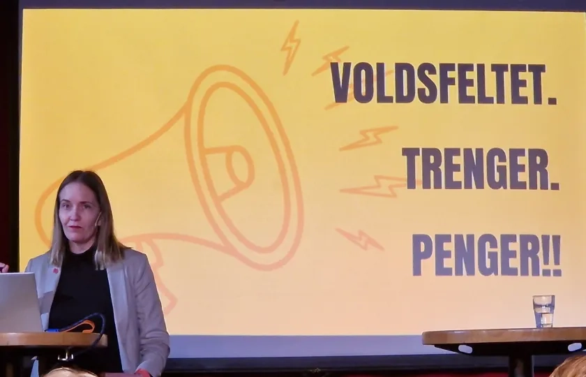 Leder for krisesentersekretariatet