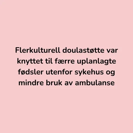 F&oslash;lgeforskning 2025 for flerkulturell doula