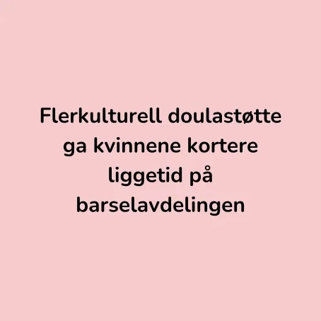 F&oslash;lgeforskning 2025 for flerkulturell doula