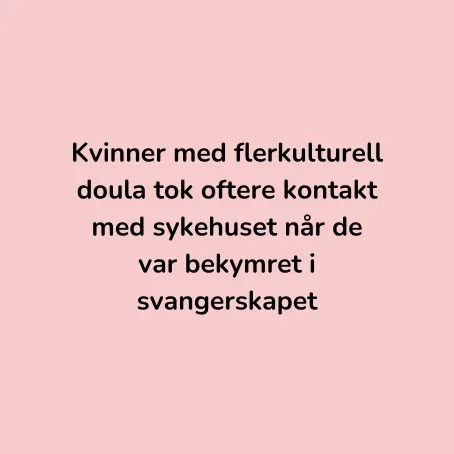 F&oslash;lgeforskning 2025 for flerkulturell doula